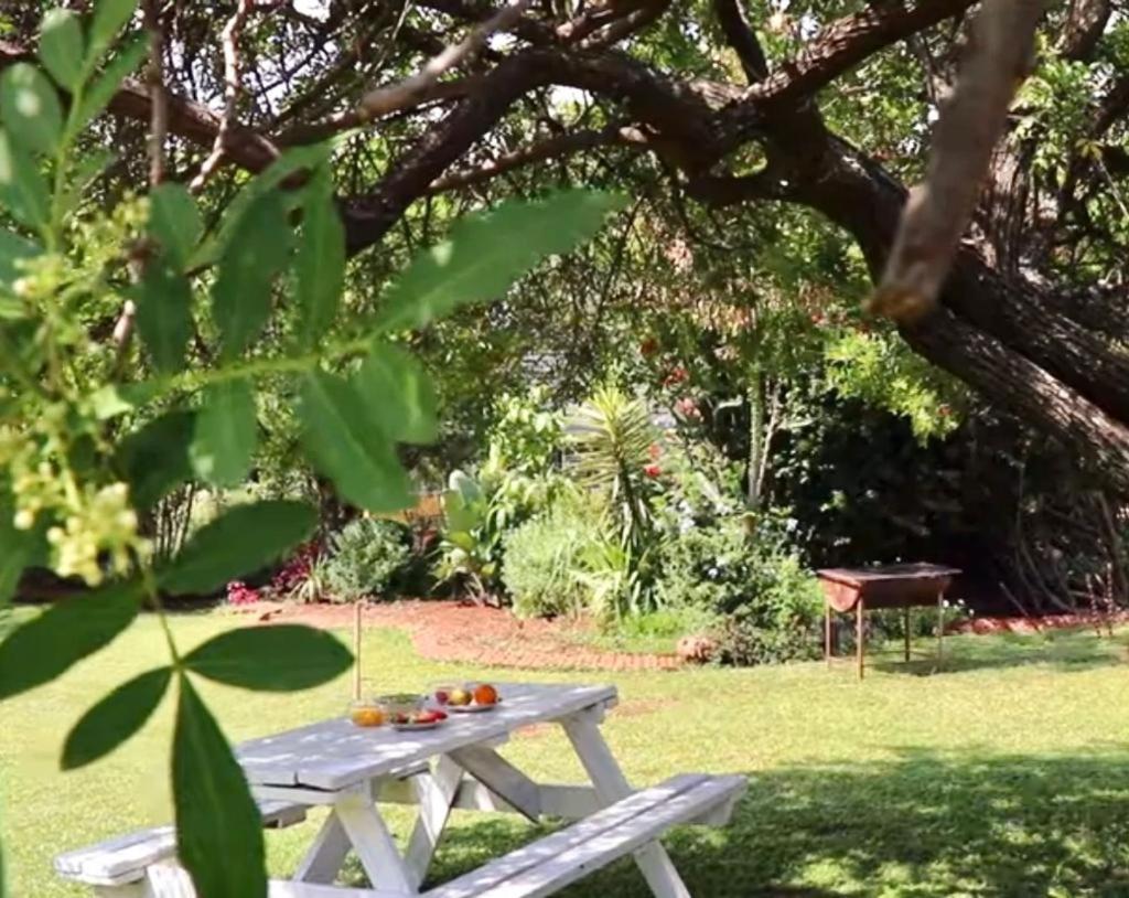 Choice Backpackers Lodge Bulawayo Luaran gambar